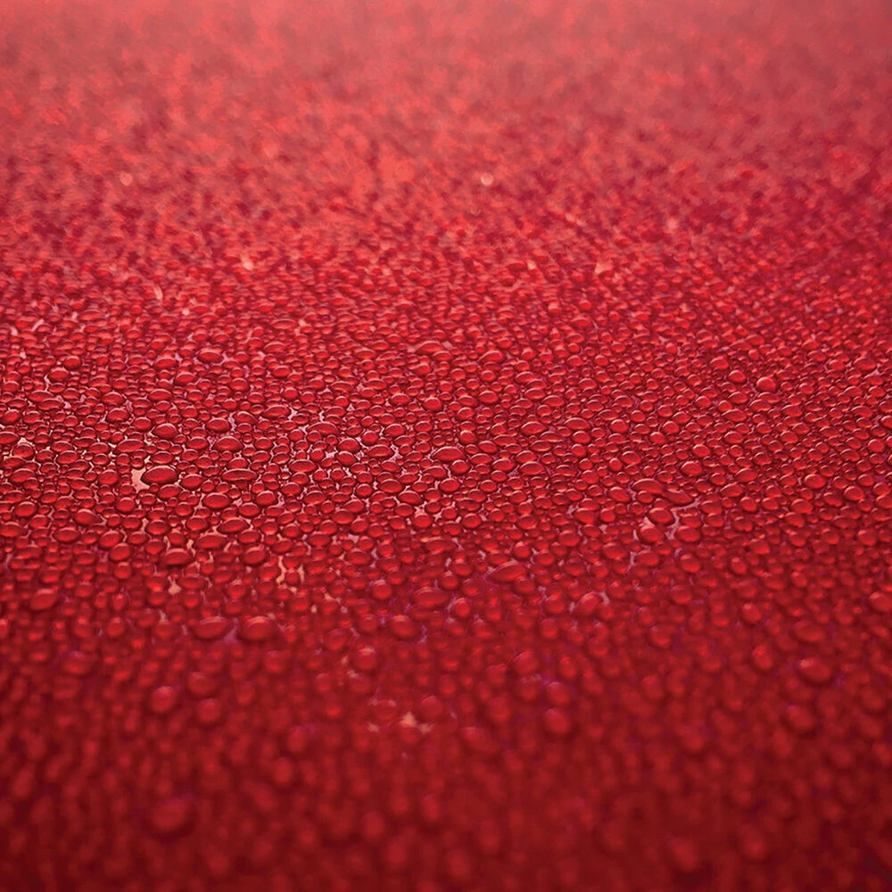 Turtle Wax Hard Shell Liquid Wax 473mL 7 Turtle Wax Hard Shell Liquid Wax 473mL - Image 5